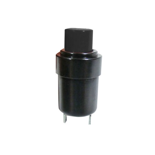 Momentary Switch; P1-12122, 11-00746