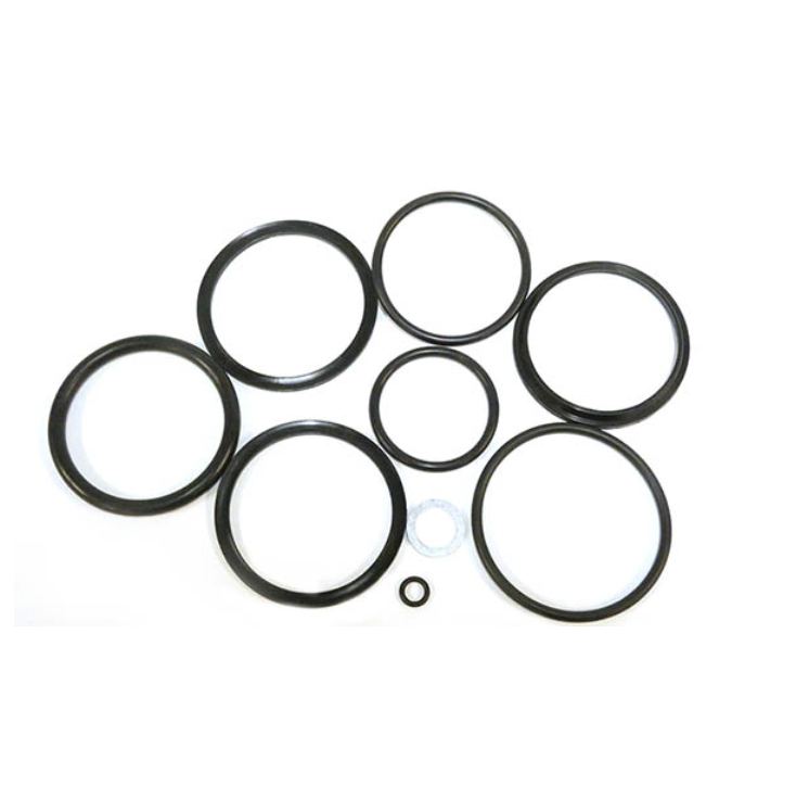 Seal 0711051-5 | R441212