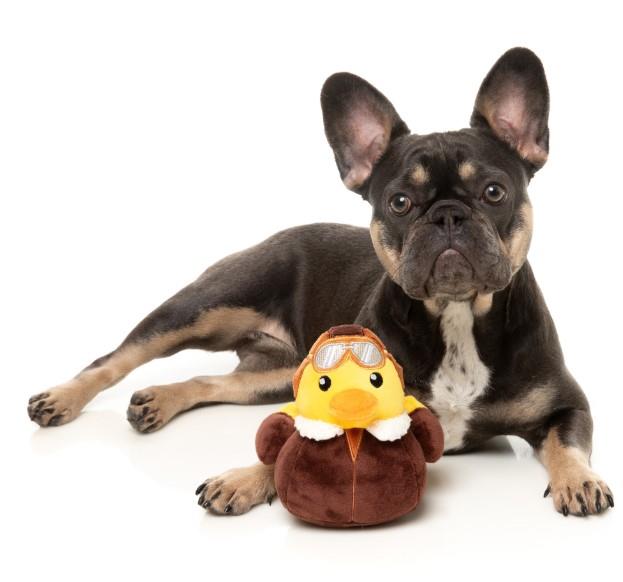 Amelia Quackhart Plush Dog Toy